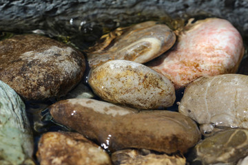 Fototapeta na wymiar Round stones lie in water