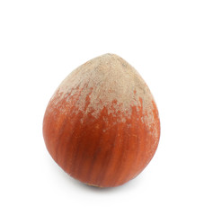 Hazelnut on white background