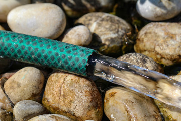 From the rubber hose in the garden water runs