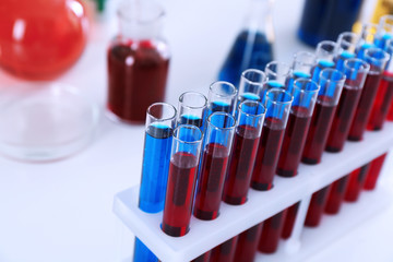 Test tubes with colorful liquids in holder on table