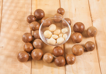 Macadamia nuts - Macadamia integrifolia