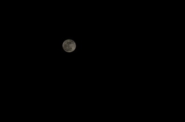 mond