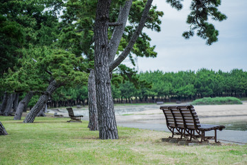 高砂市東播磨港・向島公園の風景