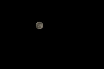 mond