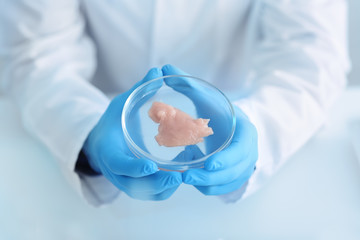 Scientist holding Petri dish with meat sample in laboratory, closeup