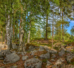 Windy day on lake Vuoksa in the Leningrad region.  Priozersky district.