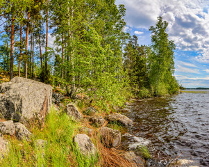 Windy day on lake Vuoksa in the Leningrad region.  Priozersky district.