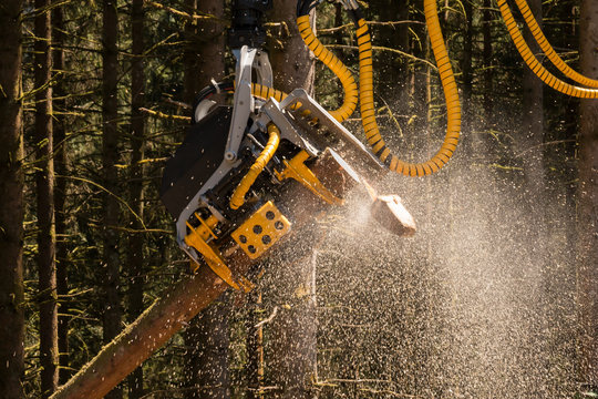 Holzernte mit dem Harvester