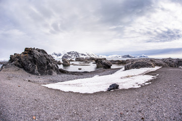 Wiosna na południowym Spitsbergenie © blackspeed