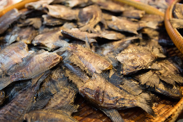 fish drying under the sun in bamboo basket , Thailand