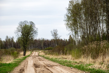 empty gravel road in the countryside in summer heat