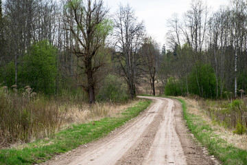 Fototapeta na wymiar empty gravel road in the countryside in summer heat