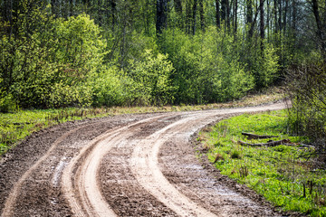 Fototapeta premium empty gravel road in the countryside in summer heat