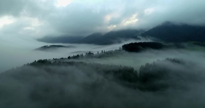 Nebel &uuml;ber dem Schwarzwald