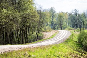 Fototapeta premium empty gravel road in the countryside in summer heat