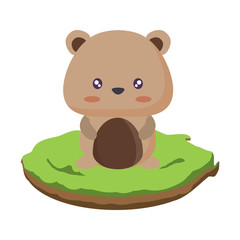 Cute squirrel in the grass over white background, vector illustration