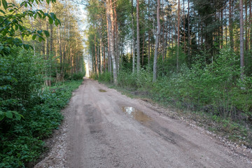 empty gravel road in the countryside in summer heat
