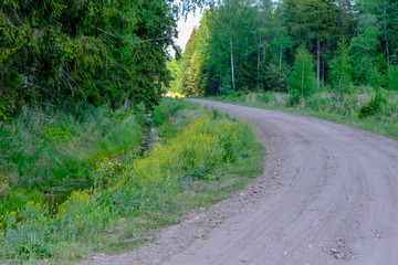 Obraz premium empty gravel road in the countryside in summer heat