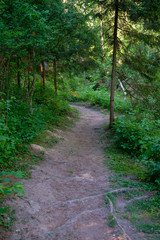 empty gravel road in the countryside in summer heat