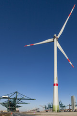 Fototapeta premium mega windmill with mega power