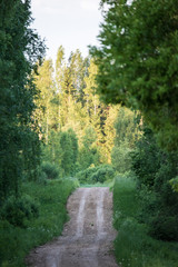 empty gravel road in the countryside in summer heat