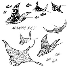 Obraz premium Manta ray and fish in the sea ,black and white stylized vector illustration