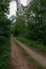 Fototapeta na wymiar empty gravel road in the countryside in summer heat