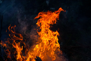 abstract fire flame dance on black background