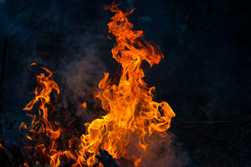 abstract fire flame dance on black background