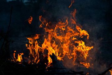 abstract fire flame dance on black background