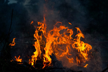 abstract fire flame dance on black background