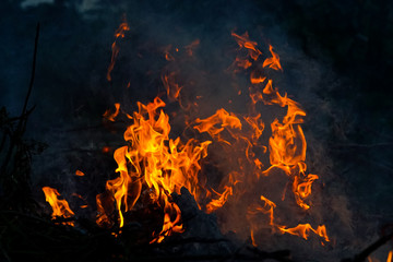 abstract fire flame dance on black background