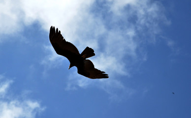 SERRAS DA REGIÃO NORDESTE DO BRASIL RN