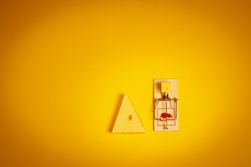 yellow background with a mousetrap and a large piece of tasty cheese