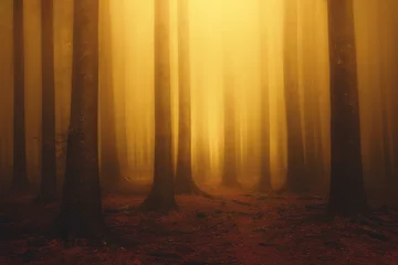 Poster mistig fantasie dromerig bos met zonneschijn in de ochtend in de herfst © mimadeo