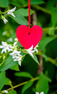 Two red hearts on a background of white Jasmine flowers