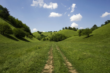 Zagajica hills in Serbia