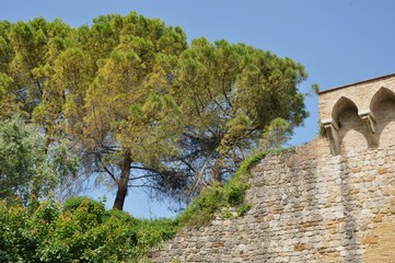 Fototapeta na wymiar San Gimignano in der Toskana (Italien)