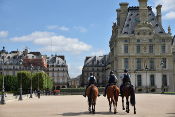 Fototapeta na wymiar Jardin des Tuileries à Paris, France