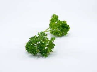 Fototapeta premium Parsley isolated on white background.