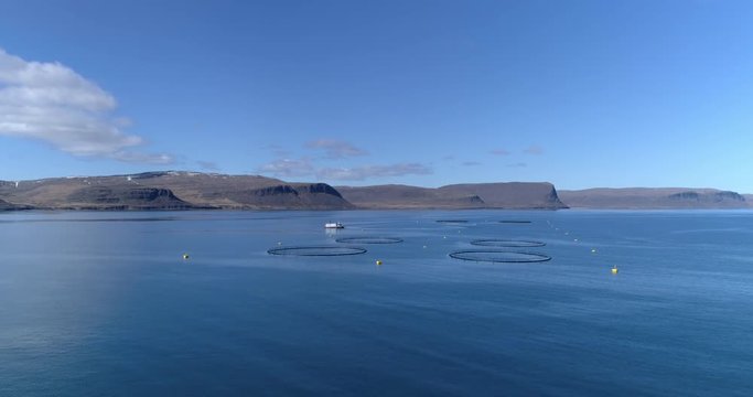 Aerial flying over Icelandic ocean fish farm pens, West Fjords Iceland.mov