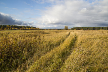 Fototapeta premium autumn landscape