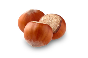 Group of  hazelnuts  on a white background