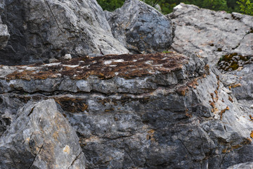 Felsstruktur im Biotop Marocche, Trentino, Gardasee, Italien