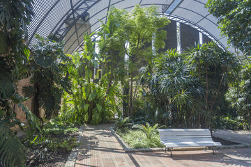 Botanical garden of Valencia. Spain.