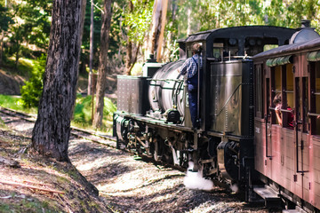 Fototapeta premium Train Ride