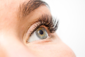 Beautiful Woman with long lashes in a beauty salon. Eyelash extension.
