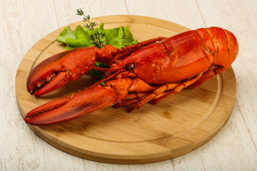 Lobster