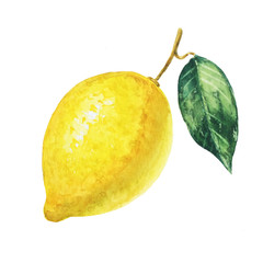 Yellow lemon on white background. Watercolor illustration.