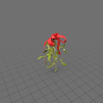 Branch of mistletoe with ribbon